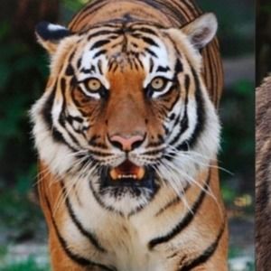 Meet your Posher, Nathalie